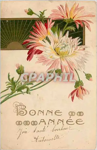 Cartes postales Bonne Annee  Fleurs