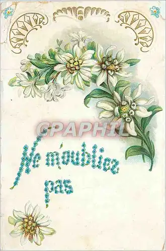 Cartes postales Ne moubliez pas  Fleurs