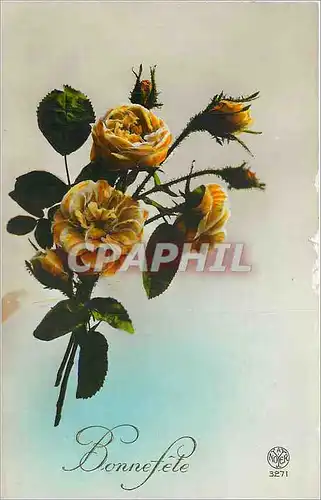Cartes postales Bonne fete Fleurs