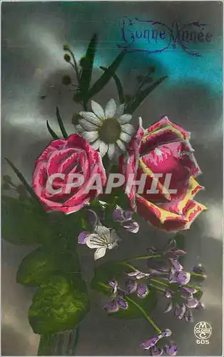 Cartes postales Bonne Annee