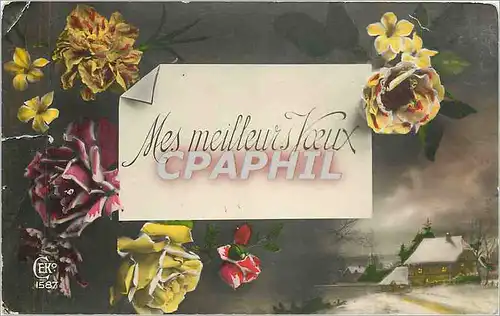 Cartes postales Mes meilleurs Voeux