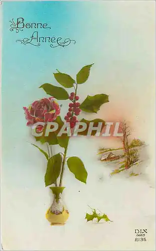 Cartes postales Bonne Annee Fleurs