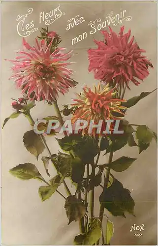 Cartes postales Ces Fleurs avec mon Souvenir