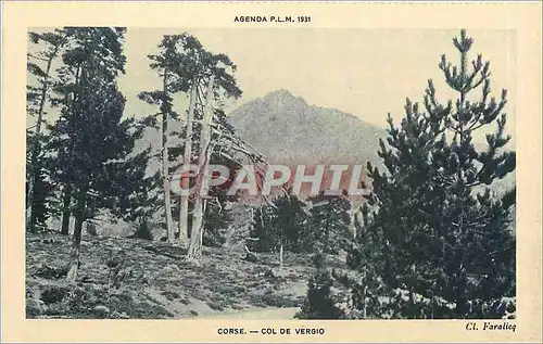 Ansichtskarte AK Corse Col de Vergio