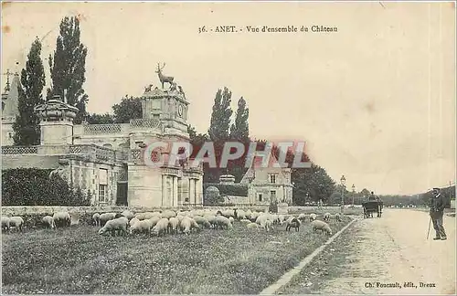 Ansichtskarte AK Anet Vue d'ensemble du Chateau Berger Moutons