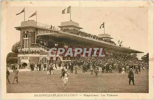 Cartes postales Deauville Plage Fleurie Hippodrome Les Tribunes