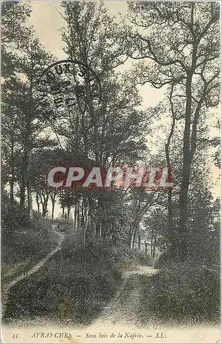 Cartes postales Avranches Sous bois de la Nafree
