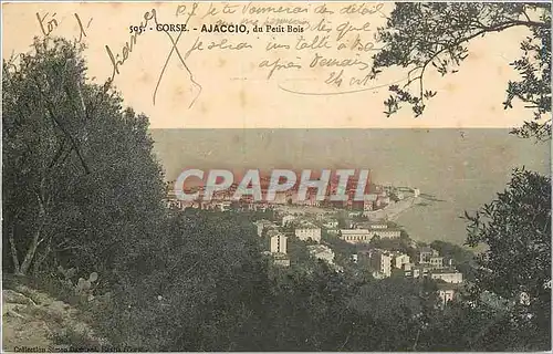 Cartes postales Corse Ajaccio du Petit Bois