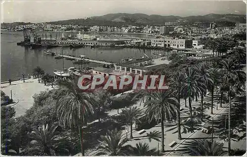 Cartes postales moderne Mallorca Palma Paseo de Sagrera y el Puerto desde La Lonja