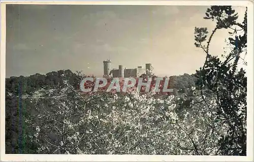 Cartes postales Mallorca Palma Bellver con flor de almendro