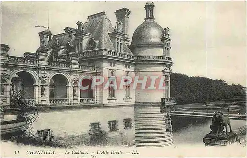 Cartes postales Chantilly Le Chateau L'Aile Droite Chien