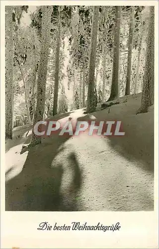 Cartes postales Die besten Weihnachtsgrusse