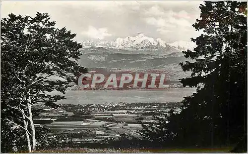 Cartes postales moderne Le Lac Leman et le Mont Blanc vus du Col de la Faucille