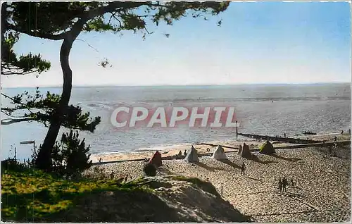 Cartes postales moderne Bassin d'Arcachon Plage des Abatilles