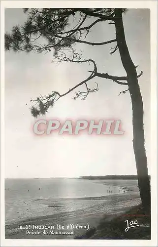 Cartes postales moderne St Trojean Ile d'Oleron Pointe de Maumusson