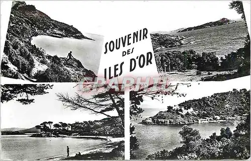 Cartes postales moderne Souvenir des Iles d'Or