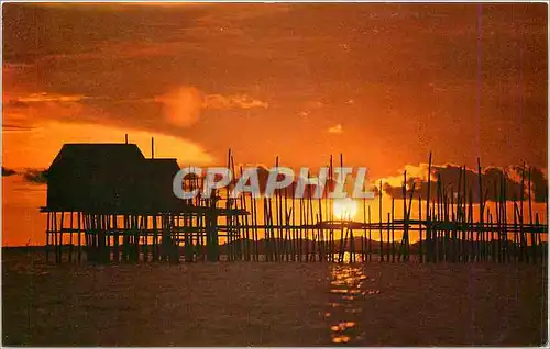 Cartes postales moderne A village kelong or fish trap set in the Singapore Strais near Singapore Qantas