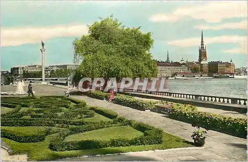 Cartes postales moderne Stockholm View from the Town Hall Garden