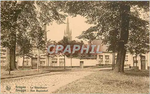 Cartes postales Bruges Le Beguinage