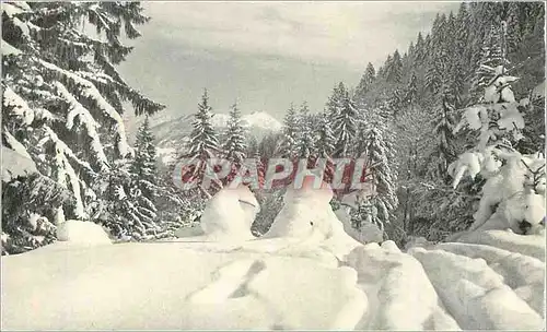 Cartes postales moderne Arbres dans la neige