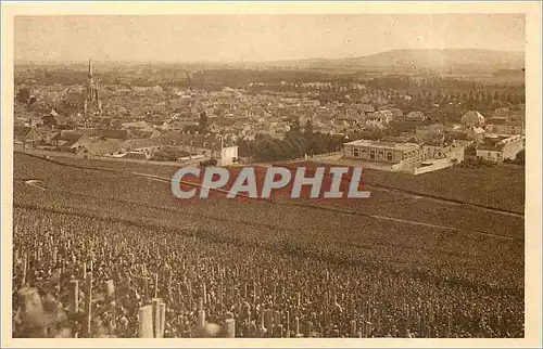 Cartes postales Reims Vignable d'Ay premier cru de raisins noirs Champagne Pommery & Greno Reims