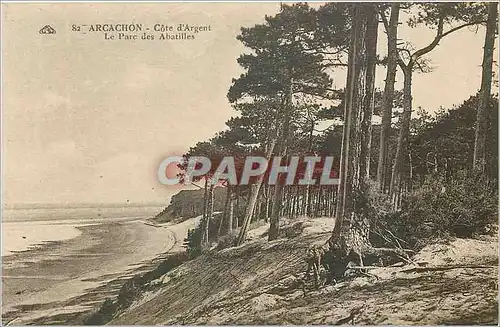 Ansichtskarte AK Arcachon Cote d'Argent Le Parc des Abatilles
