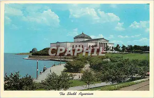 Cartes postales moderne The Shedd Aquarium Chicago Ill