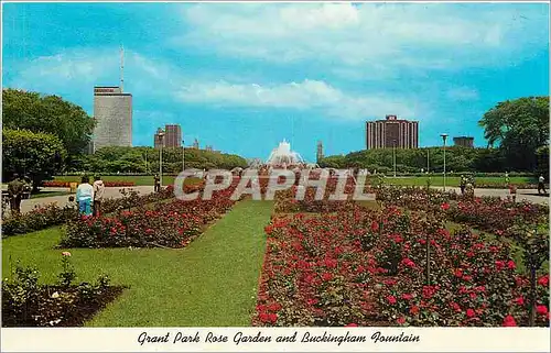 Cartes postales moderne Grand Park Rose Garden and Buckingham Fountain Chicago Illinois