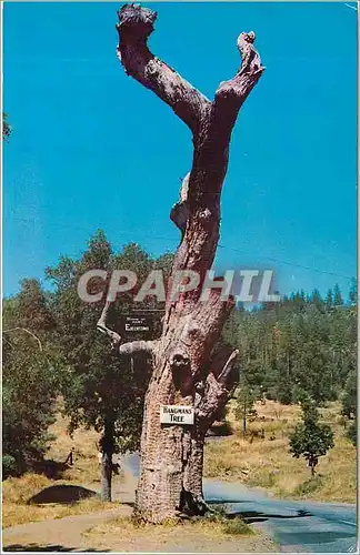 Moderne Karte Hangmans Tree One od the many historical Mother Lode Landmarks on scenic Highway
