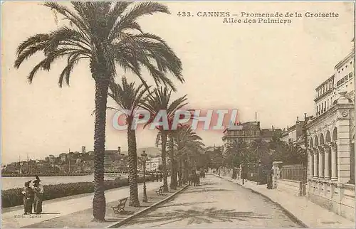 Cartes postales Cannes Promenadede la Croisette Allee des Palmiers