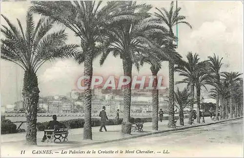 Cartes postales Cannes Les Palmiers de la Croisette et le Mont Chevalier