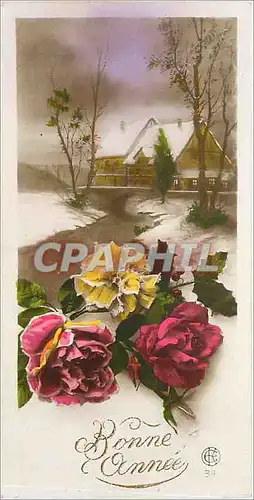 Cartes postales Bonne Annee