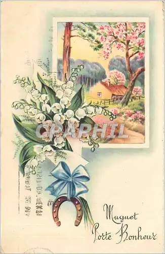 Cartes postales SOUVENIR Fleurs