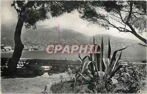 Cartes postales moderne MENTON Vue prise du Cap Martin