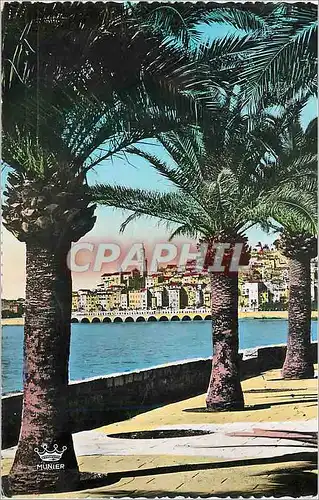 Cartes postales moderne MENTON Vue prise de Garavan