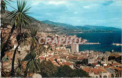 Cartes postales moderne La Principaute de MONACO MONTECARLO