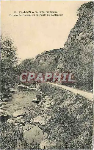 Ansichtskarte AK AVALLON - Vallee du Cousin Un coin du Cousin sur la route de Pontaubert