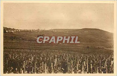 Ansichtskarte AK REIMS CHAMPAGNE POMMERY & GRENO Vignoble de Cramant premier cru de raisins blancs