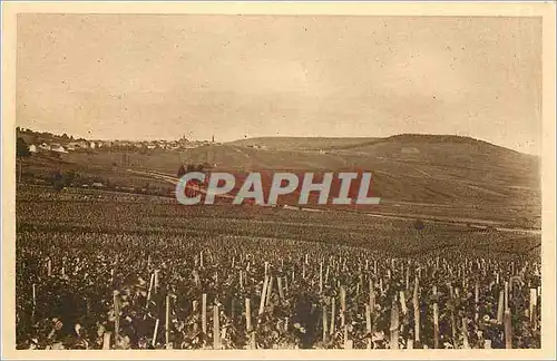 Cartes postales REIMS CHAMPAGNE POMMERY & GRENO Vignoble de Cramant premier cru de raisins blancs