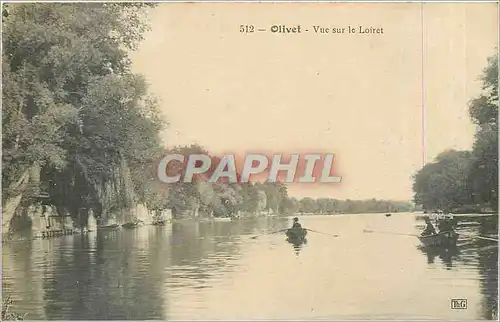 Cartes postales OLIVET Vue sur le Loiret