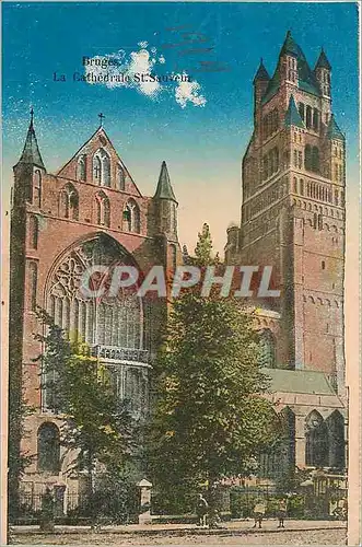 Ansichtskarte AK BRUGES La Cathedrale St Sauveur