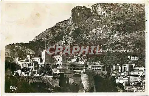 Cartes postales MONACO Le Palais du Prince et la Tete du chien