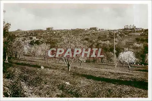 Cartes postales AGRIGENTO Panorama  seen from the valley of Temples