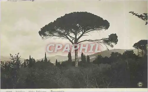 Cartes postales Tivoli