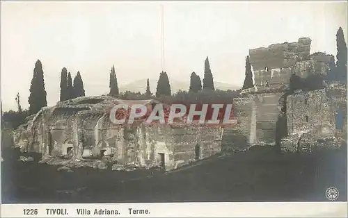 Cartes postales VILLA ADRIANA . VIALE DEI CIPRESSI(TIVOLI)