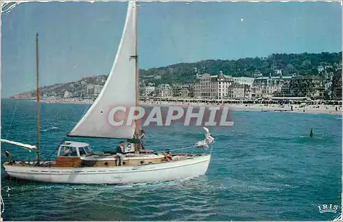 Cartes postales moderne TROUVILLE - REINE DES PLAGES Bateau