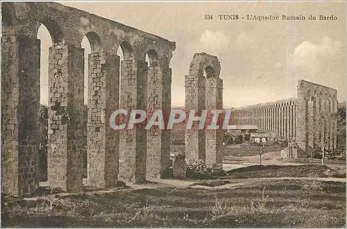 Cartes postales TUNIS L'Aqueduc Romain du Bardo