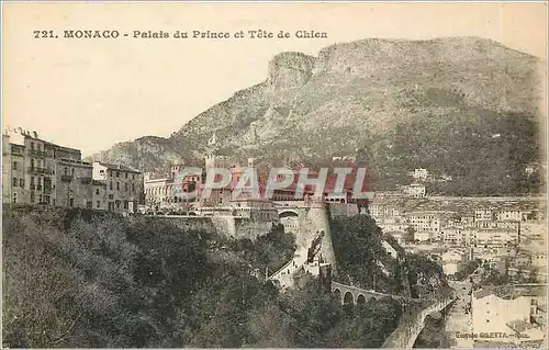 Cartes postales MONACO - Palais du Prince et T�te de Chien