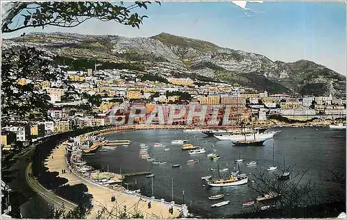 Cartes postales moderne PRINCIPAUTE DE MONACO Le Port et la Condamine