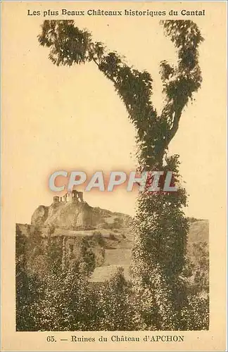 Ansichtskarte AK Ruines du Ch�teau d'APCHON